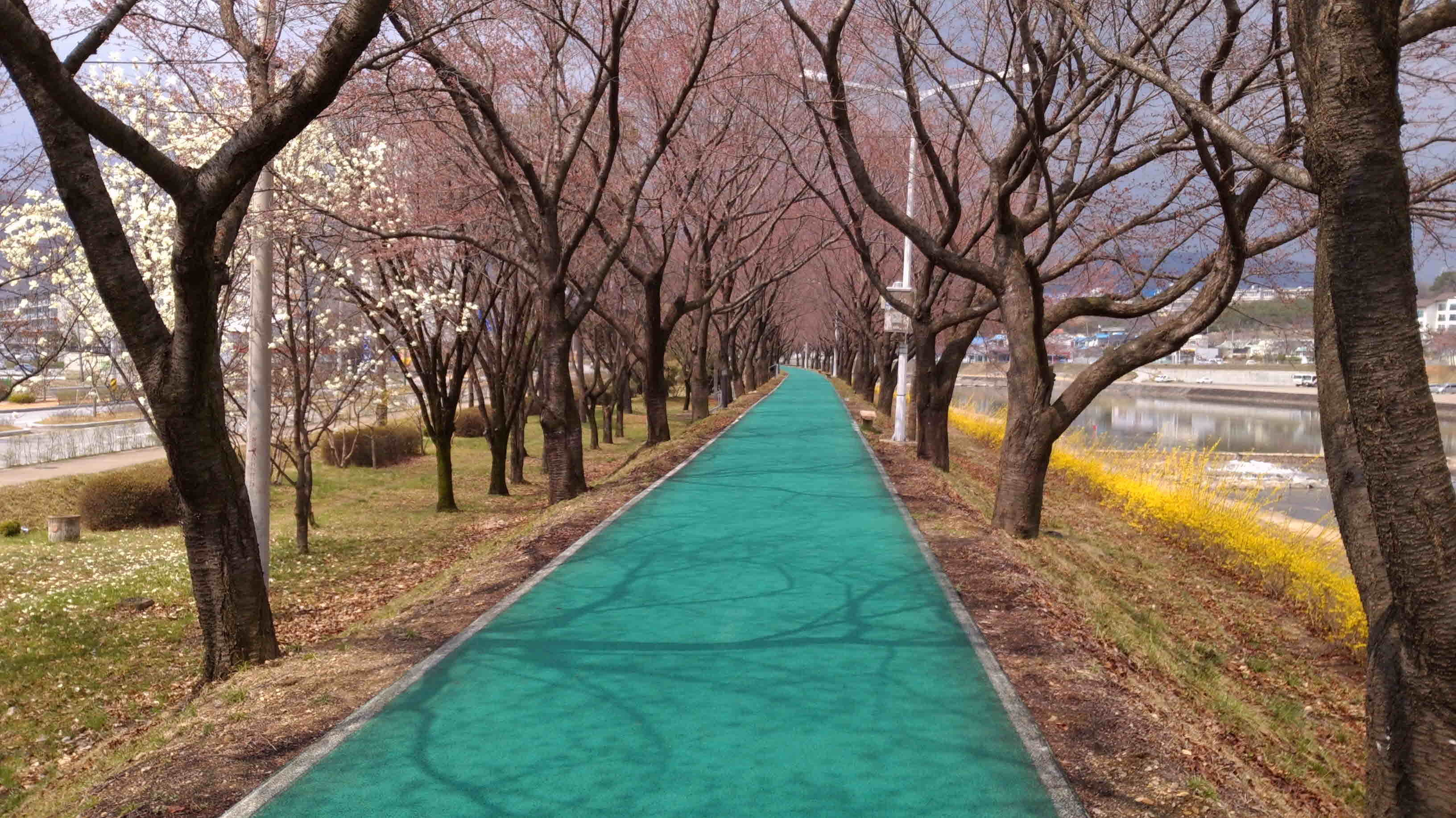포맷변환_IMG_20170401_123050.jpg