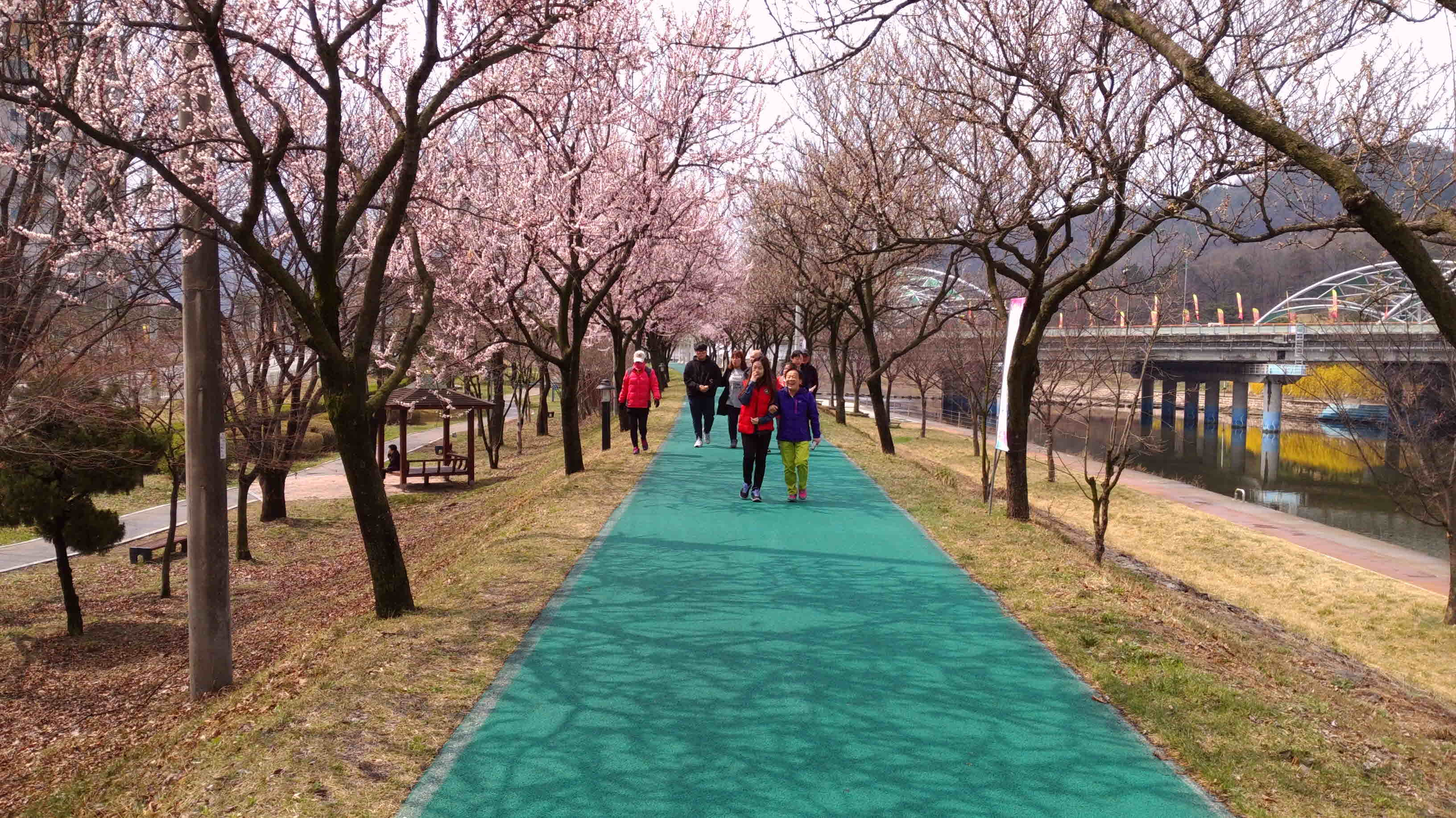 포맷변환_IMG_20170401_120525.jpg