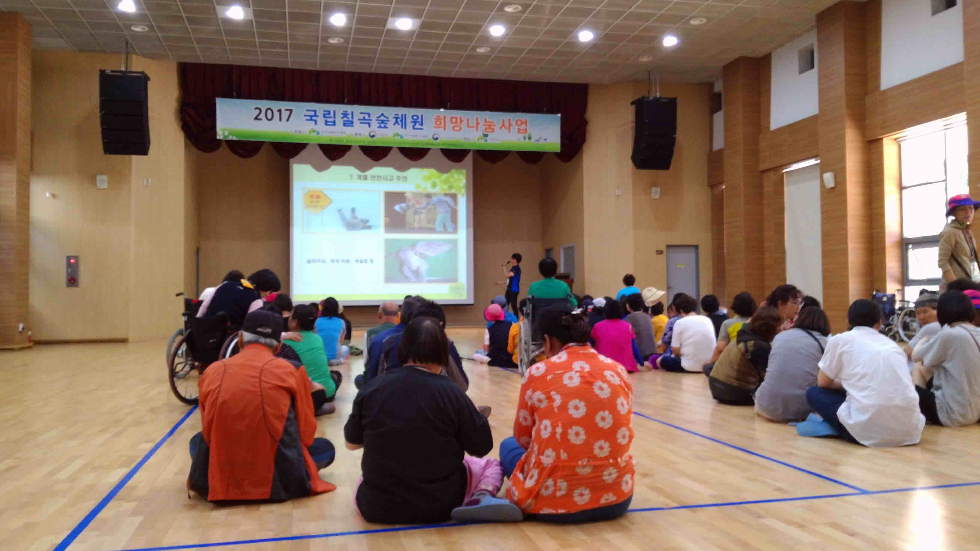 칠곡숲체험1.jpg